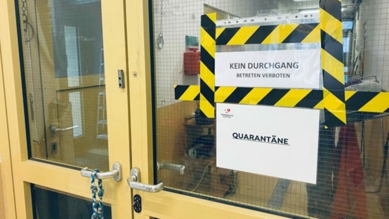 Tiere mit unklarer Herkunft landen in einer mehrwöchigen, strengen Quarantäne. Zu groß ist die Angst von eingeschleppten Seuchen wie der Tollwut. (Bild: Katharina Lattermann)