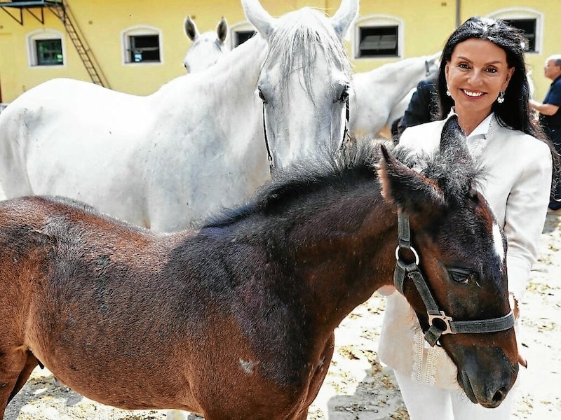 2019-2022: Auch unter Sonja Klima gab es dicke Luft in der Chefetage. (Bild: Sepp Pail)