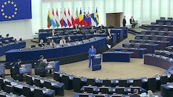 Abgeordnete des Europaparlaments (Bild: Europaparlament, Krone KREATIV)