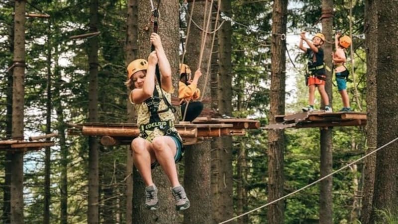 Ganz sicher keine Langeweile kommt bei einem Besuch des Waldseilgartens Hirschenkogel am Semmering auf (Bild: NÖ Werbung)