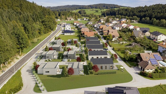 So soll die neue Siedlung im Ortsteil Schneegattern mit den neuen Mikro-Häusern aussehen. (Bild: ZVG)