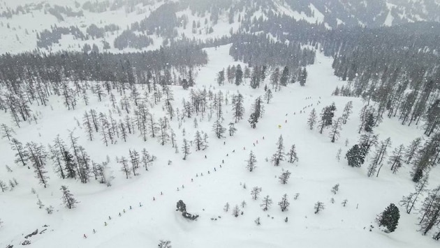 Wie fleißige Ameisen kämpfen Skifahrer für die Wurzeralm. (Bild: Kerschbaummayr Werner)