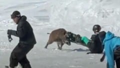 Diese Gruppe junger Snowboarder erlebte den Schock ihres Lebens. (Bild: Screenshot kameraone)