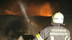 Kampf gegen den Schilfbrand in Mörbisch (Bild: FF Mörbisch/See)