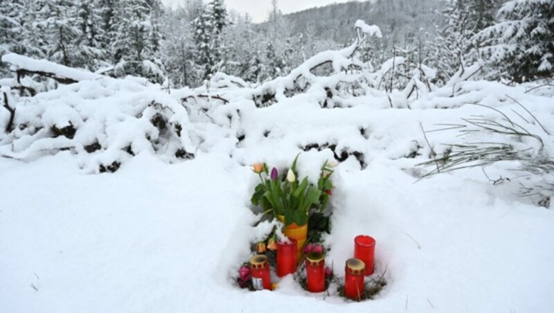 Frisch gefallener Schnee bedeckt den Tatort in einem Waldstück. (Bild: AFP)