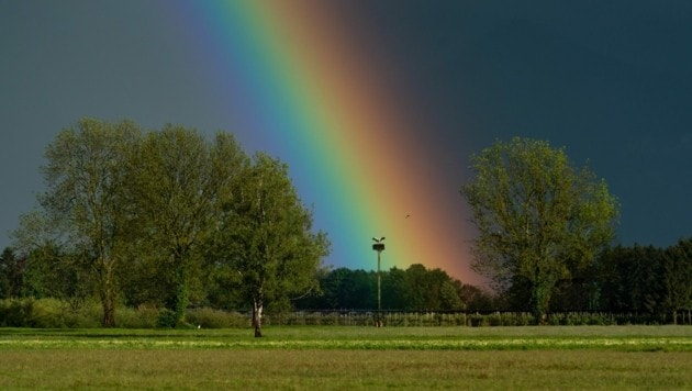 Was ist eigentlich zu tun, wenn ein Regenbogen am Himmel erscheint? (Bild: Stiplovsek Dietmar)