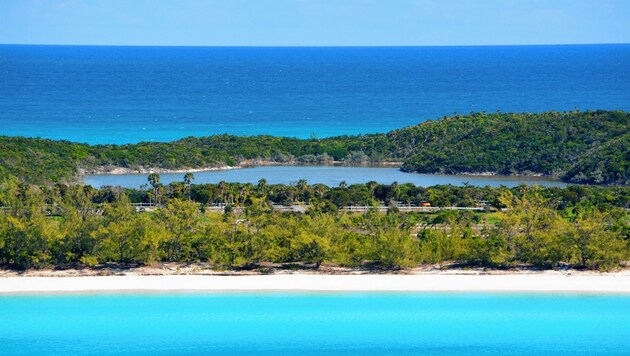 Karibisches Flair wie aus dem Bilderbuch: Half Moon Cay auf den Bahamas - die Insel befindet sich im Privatbesitz der Holland America Line. (Bild: Norm Lane)
