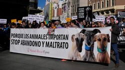 Menschen protestierten Anfang Februar in Madrid gegen den Ausschluss einiger Tiere im neuen Tierschutzgesetz. (Bild: The Associated Press)