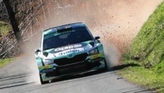 Der Skoda Fabia Rally2 Evo bringt 300 PS Leistung auf die Straße. (Bild: Pail Sepp)