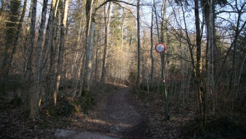 72.000 Quadratmeter Wald und Wiese am Fuße des Gaisbergs wechselten noch vor in Kraft treten des neuen Grundverkehrsgesetzes den Besitzer. (Bild: Tröster Andreas)