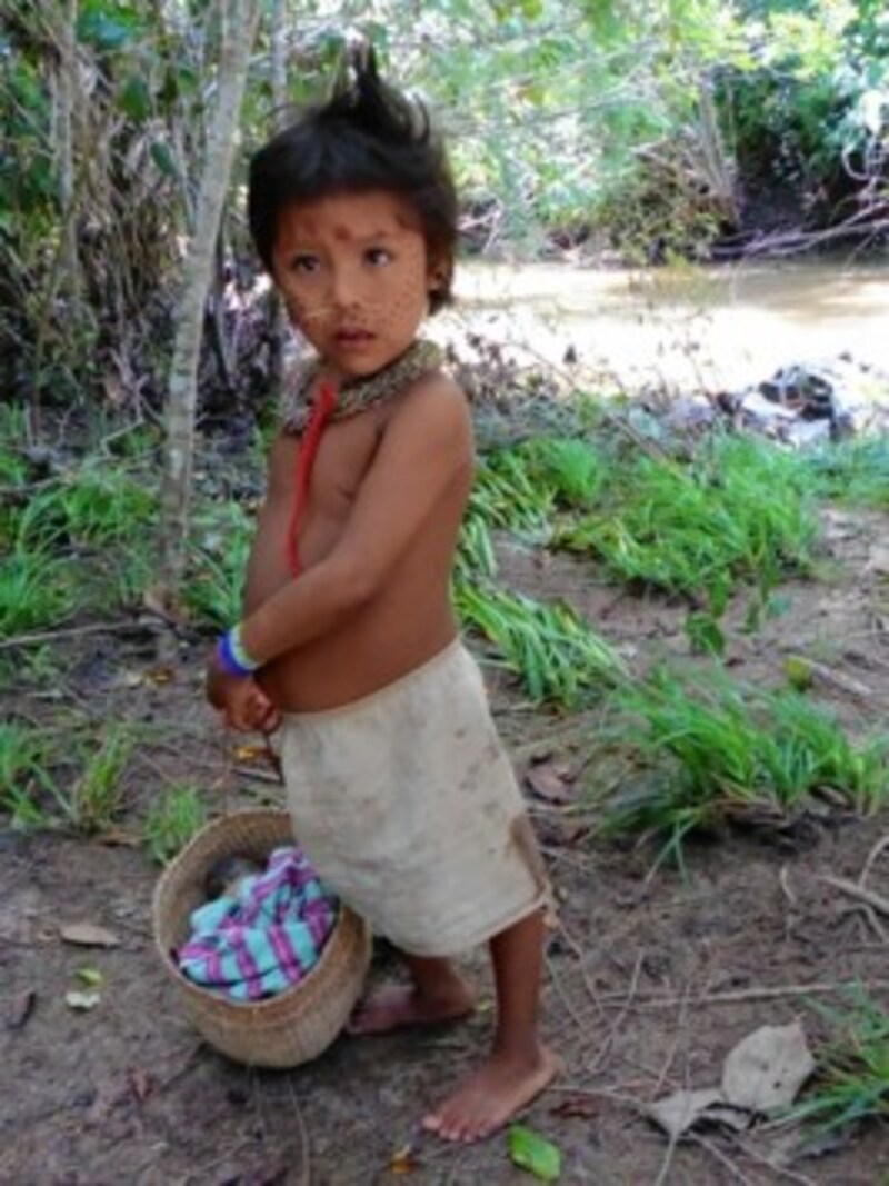 Die Völker der Yanomami und Hayateri leben abgeschnitten von jeglicher Zivilisation im Urwald. (Bild: Theissel)