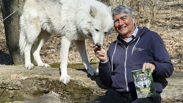 Kurt Kotrschal mit einem Wolf des Wolfforschungszentrums Ernstbrunn. In seinem aktuellen Buch „Wolf und wir“ beschreibt er, warum die Rückkehr des großen Beutegreifers Chancen eröffnet. (Bild: Klemens Groh)