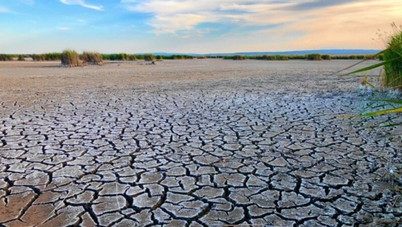 Der Neusiedler See im (Klima-)Wandel der Zeit: Versäumnisse der Vergangenheit machen die nachhaltige Absicherung des Naturjuwels zu einem langwierigen „Jahrhundert-Projekt“. (Bild: Charlotte Titz)