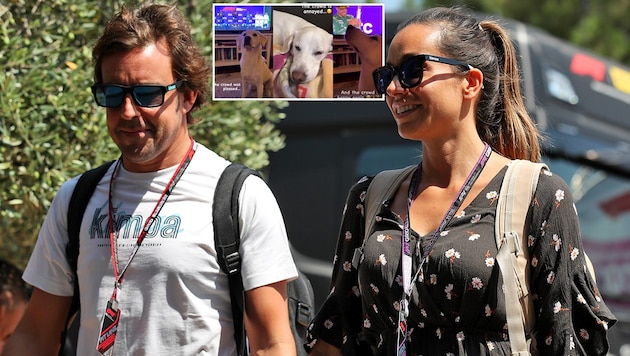 Andrea Schlager fieberte gemeinsam mit ihrem Hund mit Fernando Alonso mit. (Bild: GEPA, instagram.com/andrea.m.schlager/)