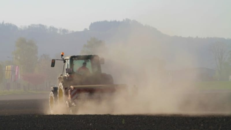 Dürre in Oberösterreich, hier im Eferdinger Becken, ein Foto aus dem trockenen Jahr 2019. (Bild: Markus Schütz)