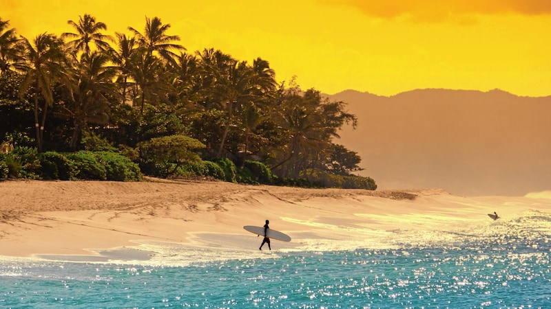 Ein Surfer an einem Strand auf Hawaii (Bild: Cmon - stock.adobe.com)