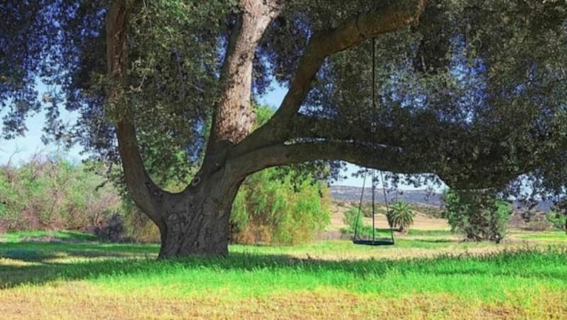 Die Pavoreal Ranch war ein besonderer Zufluchtsort für John Wayne (Bild: Coldwell Banker Home )