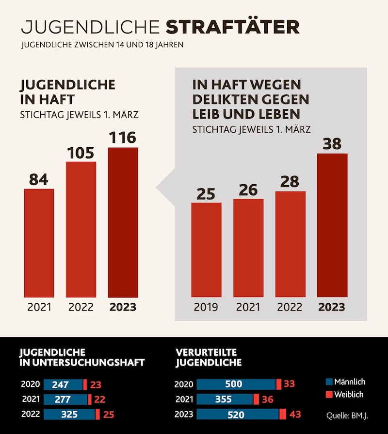 (Bild: Krone KREATIV)