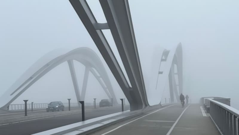 Die neue Linzer Eisenbahnbrücke. Ihre Zukunft für die Nutzung durch die Linzer Stadtbahn liegt noch im Nebel. (Bild: Werner Pöchinger)