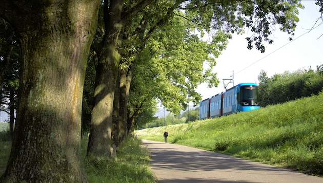 Derzeit ist sie noch eine Vision, doch Stelzer und Luger wollen die Stadtbahn wieder auf Schiene bringen. (Bild: Schiene OÖ)