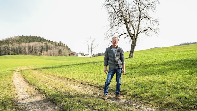 Weil auf dem Acker hinter seinem Bauernhof eine neue Siedlung geplant ist, darf Karl Schmidthaler den Schweinestall nicht ausbauen. (Bild: Wenzel Markus)
