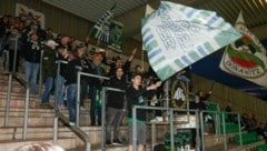 Die DSV-Fans haben Grund zum Jubeln (Bild: Richard Purgstaller)