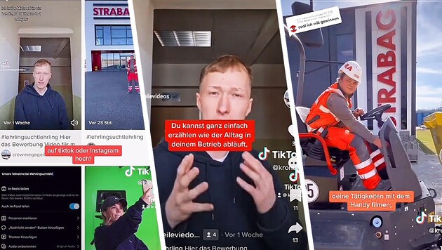 (Bild: Kronen Zeitung, TikTok, Krone KREATIV)