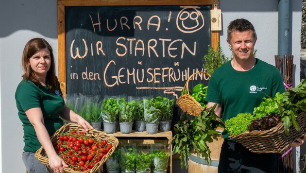 Carina und Wolfgang Nittnaus starten in den Gemüsefrühling. (Bild: Charlotte Titz)