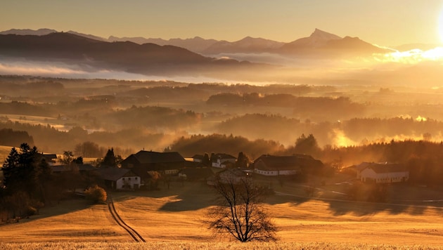 Frühaufstehern zeigt sich am Haunsberg die Morgensonne. (Bild: Picasa)