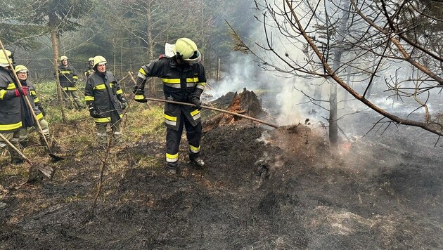 350 Helfer standen am Samstag im Einsatz. (Bild: APA/DOKU-NÖ)