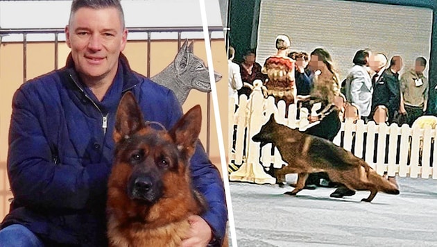 Dietmar Maurer (links) sieht Entwicklungen in der Hundezucht sehr kritisch. Rechts: Ein siegreicher Hund bei der Grazer Rassehundeschau. (Bild: z.V.g., Krone KREATIV)