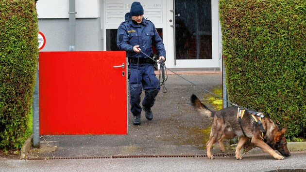 „Dionsysos“ mit einem Diensthundeführer der Polizei vor dem Mordhaus in Henndorf (Salzburg). (Bild: Markus Tschepp)