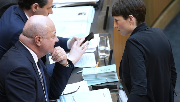 En el debate sobre el juicio a Kurz, el secretario general del ÖVP, Stocker (izquierda), y el líder del grupo parlamentario de los Verdes, Maurer (derecha), no están de acuerdo. (Bild: APA/ROBERT JAEGER)