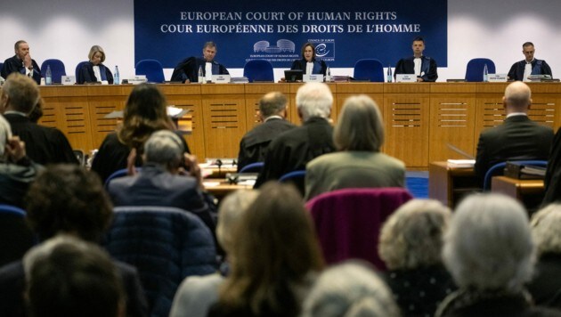 Der Europäische Gerichtshof für Menschenrechte (EGMR) in Straßburg hat sich am Mittwoch erstmals mit Klagen im Zusammenhang mit dem Klimawandel befasst. (Bild: AFP/Patrick Hertzog)