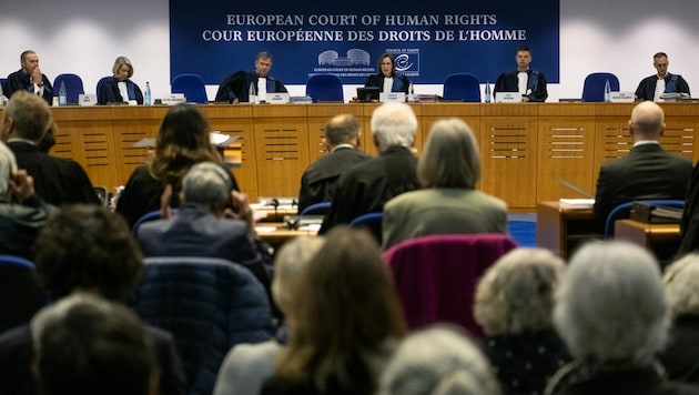 Der Europäische Gerichtshof für Menschenrechte (EGMR) in Straßburg hat sich am Mittwoch erstmals mit Klagen im Zusammenhang mit dem Klimawandel befasst. (Bild: AFP/Patrick Hertzog)