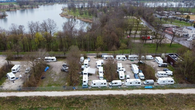 Seit Wochen bevölkern Sinti und Roma wieder den Durchreiseplatz an der B1. (Bild: Dostal Harald)