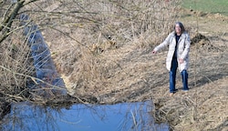 In fünf Tagen wird dieser Damm am Mühlbach in Wilhering trotz viel Gegenwehr von Doris Eisenriegler verschwinden. (Bild: Dostal Harald)