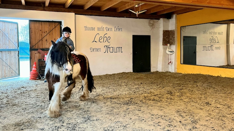 Ein Pferd ganz allein führen zu können, stärkt das eigene Selbstvertrauen. (Bild: Petra Klikovits)