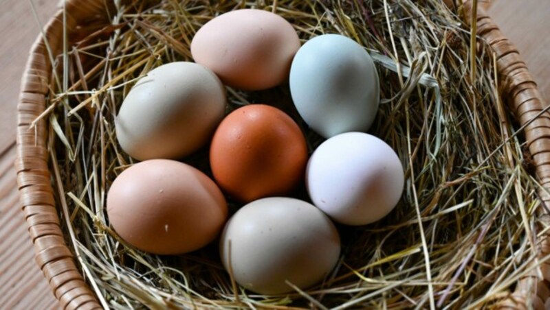 Die Natur erledigt das Eierfärben: Ein Korb voller naturbunter Eier am Rabenberghof. (Bild: Markus Wenzel)