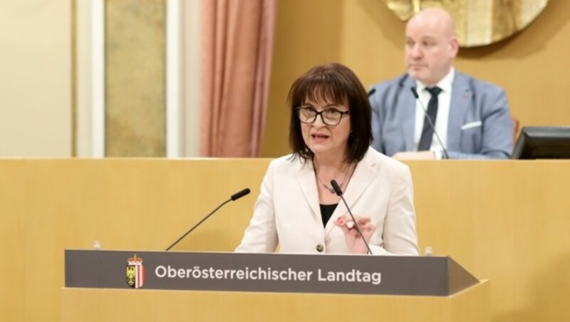 SPÖ-Frauensprecherin Renate Heitz bei einer Rede im Landtag (Bild: Land OÖ/Stinglmayr)