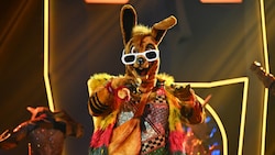 Unter der Maske des Kängurus steckte ein beliebter „Tatort“-Star. Wer wurde in Show eins von „The Masked Singer“ enttarnt? (Bild: Pro7/Willi Weber)