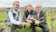 Prost! Herbert Oschep, Thomas Schreiner und Andreas Liegenfeld stoßen auf den zehnten Weinfrühling an. (Bild: Schulter Christian)