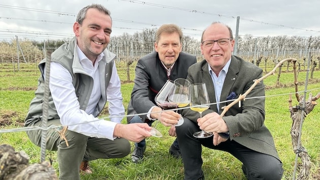 Prost! Herbert Oschep, Thomas Schreiner und Andreas Liegenfeld stoßen auf den zehnten Weinfrühling an. (Bild: Schulter Christian)