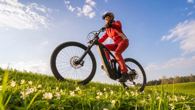 Many are switching to e-bikes: in 2023, even the sales figures for regular bikes were exceeded. (Bild: Uwe - stock.adobe.com)