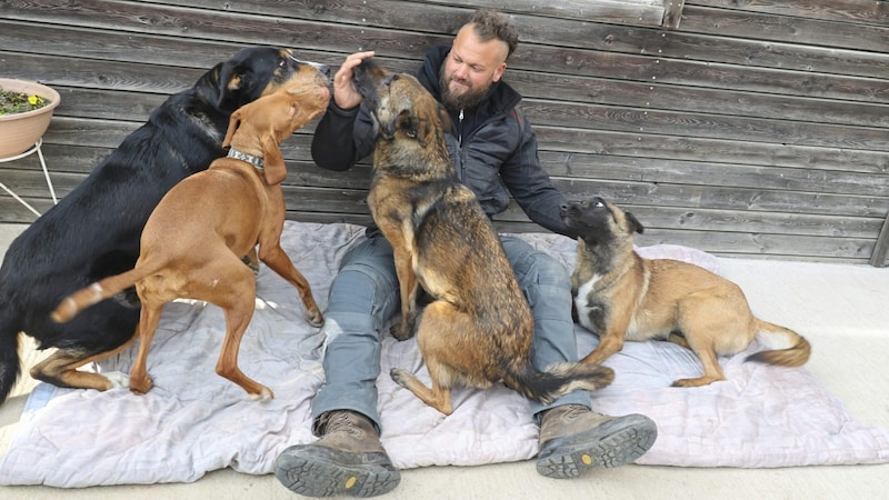 Not only concerned about his protégés on "World Dog Day"! Georg Resch lives with up to 20 dogs every day. (Bild: Christian Jauschowetz)