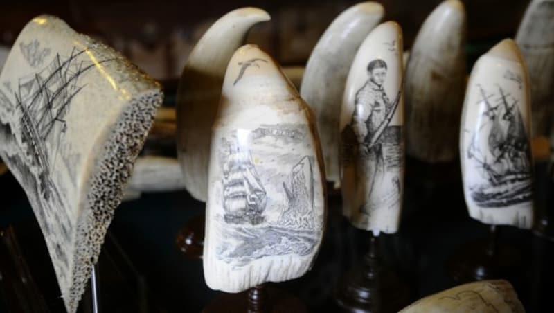 ... mit angrenzendem Scrimshaw-Museum. (Bild: Thomas Stankiewicz / Lookphotos / picturedesk.com)