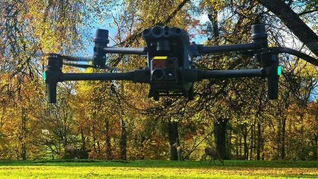 Dank Lichtfeldtechnologie „sieht“ die Drohne durch Baumwipfel hindurch. (Bild: BAMBI/FH OÖ)