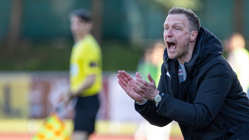 Ried-Trainer Maximilian Senft (Bild: GEPA)