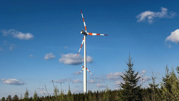 Windräder in Vorarlberg – bald Realität? (Bild: Pressefoto Scharinger © Daniel Scharinger)