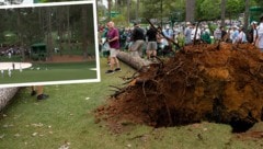 Bäume stürzten um: Schrecksekunde beim Golf-Masters! (Bild: AP, twitter.com/dylan_dethier)